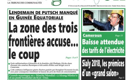 Cameroun: Journal Intégration parution n°311 du Lundi 19 Février 2018