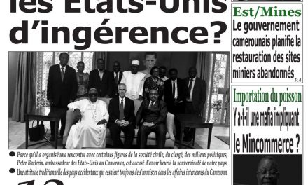 Cameroun : journal Emergence, parution du 13 Avril 2018