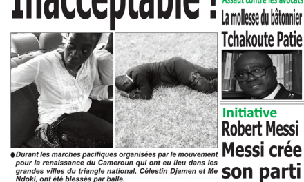 Cameroun : Journal émergence, parution du 28 Janvier 2019