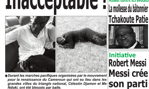 Cameroun : Journal émergence, parution du 28 Janvier 2019