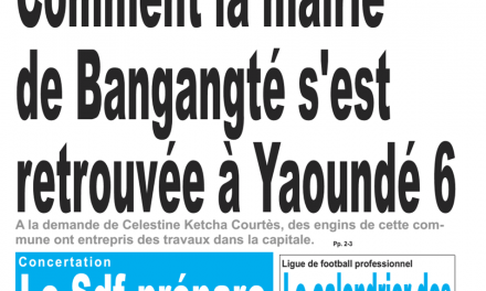 Cameroun : Journal le jour, parution du mardi 22 Janvier 2019