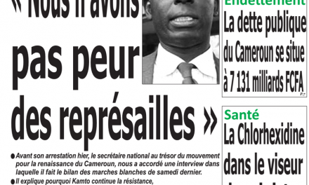 Cameroun : Journal emergence, parution du 29 Janvier 2019