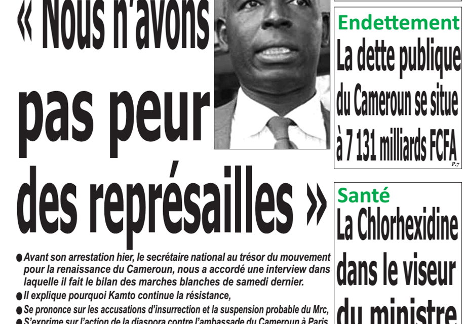 Cameroun : Journal emergence, parution du 29 Janvier 2019
