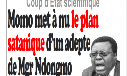 Cameroun : info-matin, parution du 12 Février 2019
