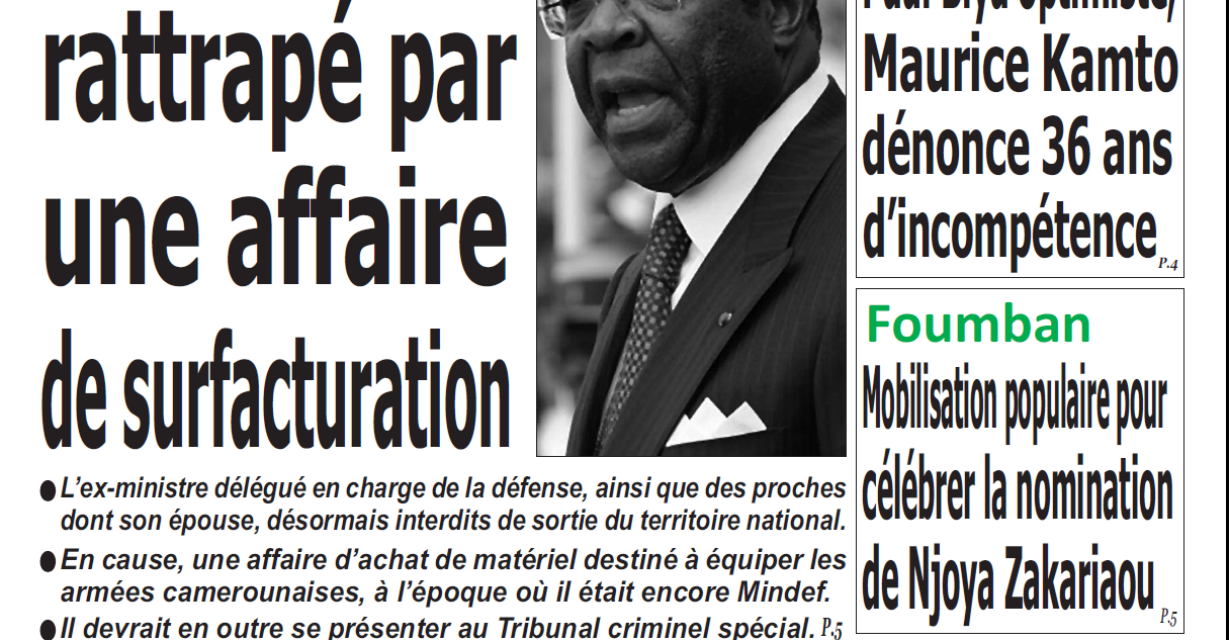 Cameroun : le jour, parution du 12 Février 2019