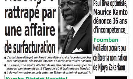 Cameroun : le jour, parution du 12 Février 2019