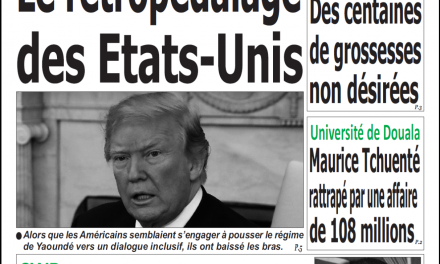 Cameroun : journal émergence du 20 Février 2019