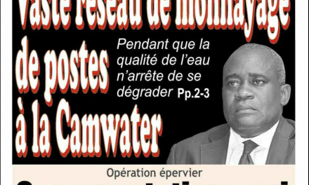 Cameroun : la météo, parution du 4 février 2019