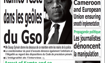 Cameroun : émergence, parution du 4 février 2019